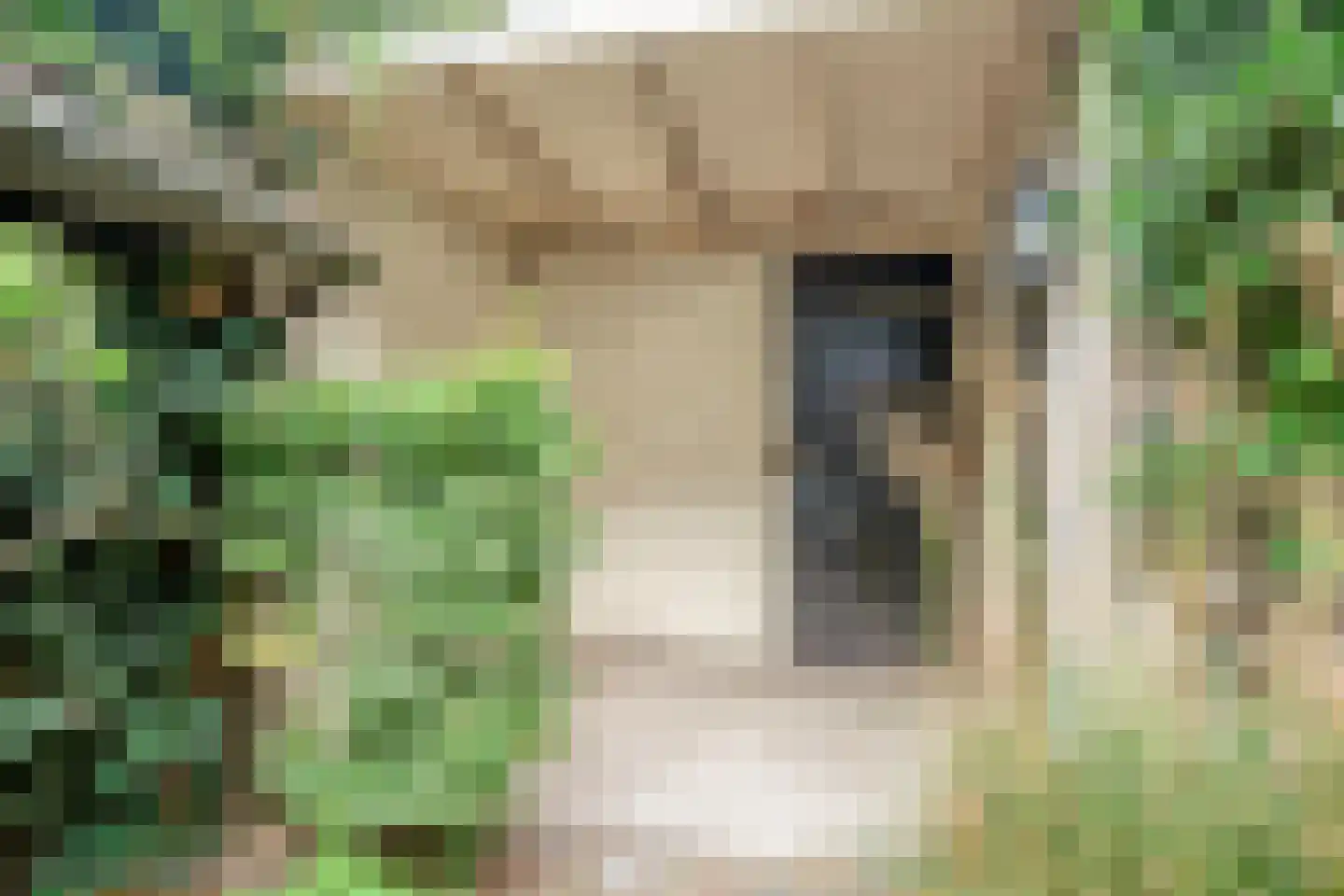 Elzenhof 21 Renswoude thumbnail 40