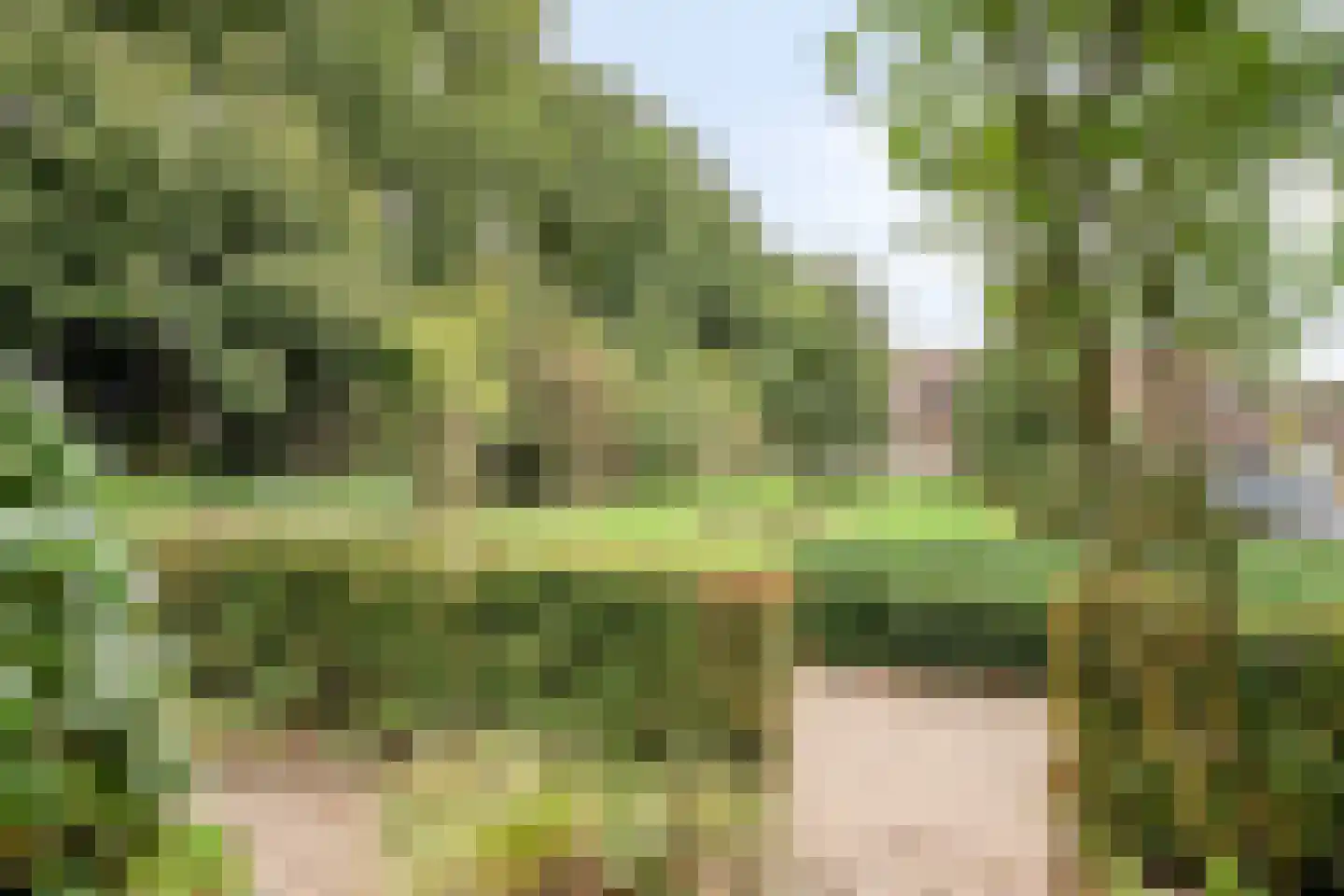 Elzenhof 21 Renswoude thumbnail 42