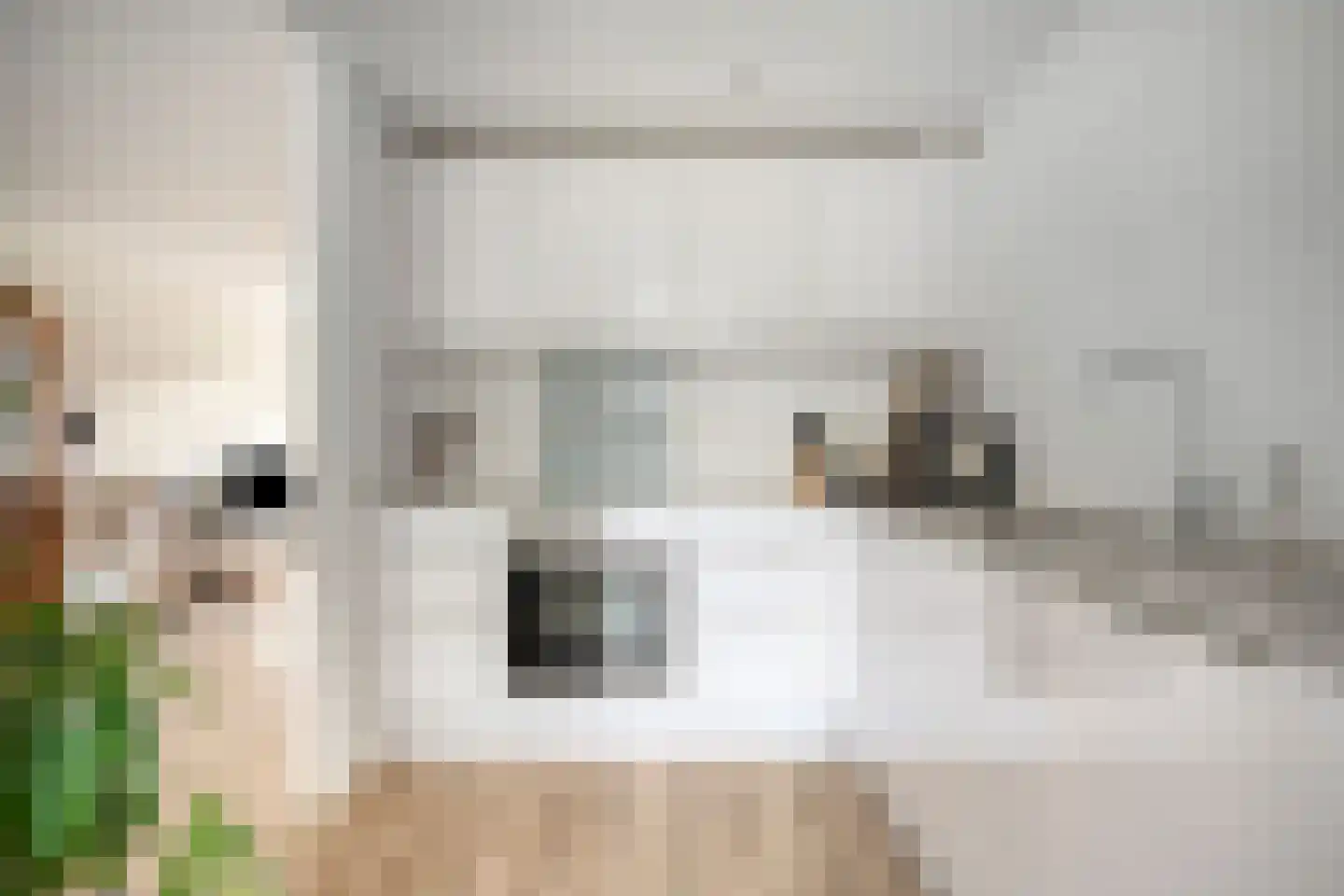Elzenhof 21 Renswoude thumbnail 5