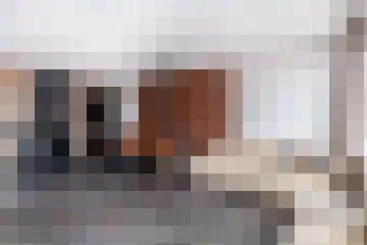 Elzenhof 3 Ouderkerk aan den IJssel thumbnail 13