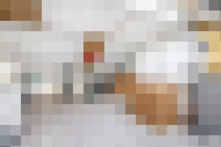 Elzenhof 3 Ouderkerk aan den IJssel thumbnail 33