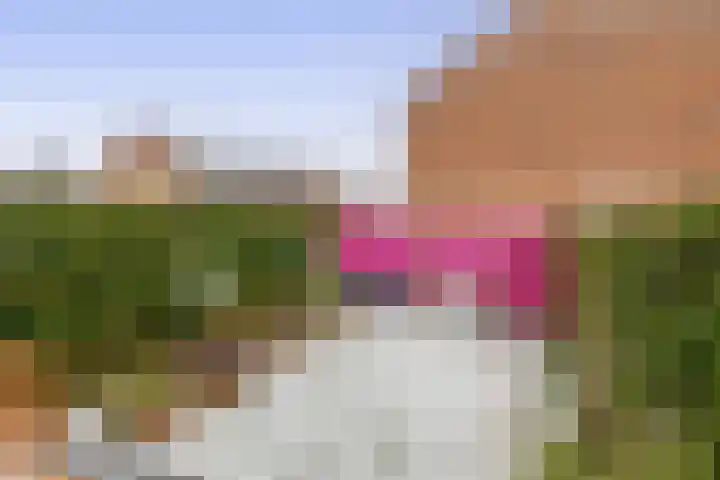 Elzenhof 3 Ouderkerk aan den IJssel thumbnail 34
