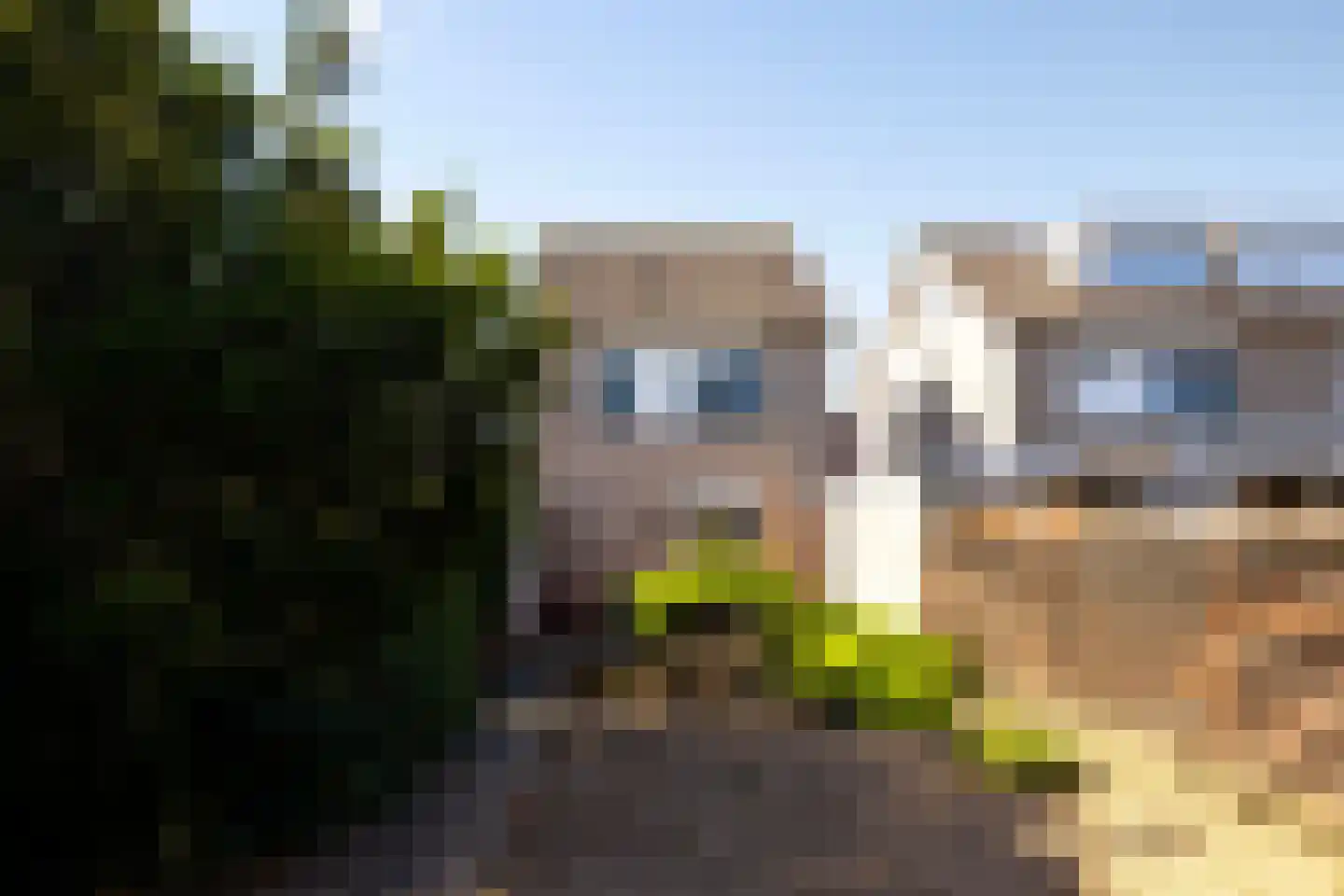 Elzenhof 73 Pannerden thumbnail 21