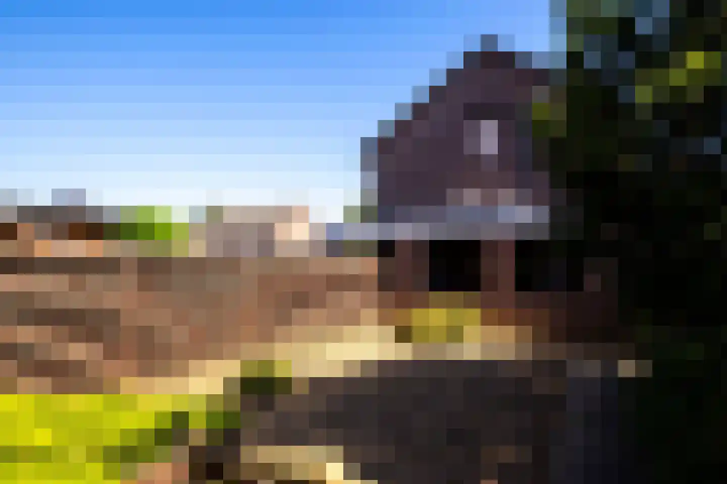 Elzenhof 73 Pannerden thumbnail 23