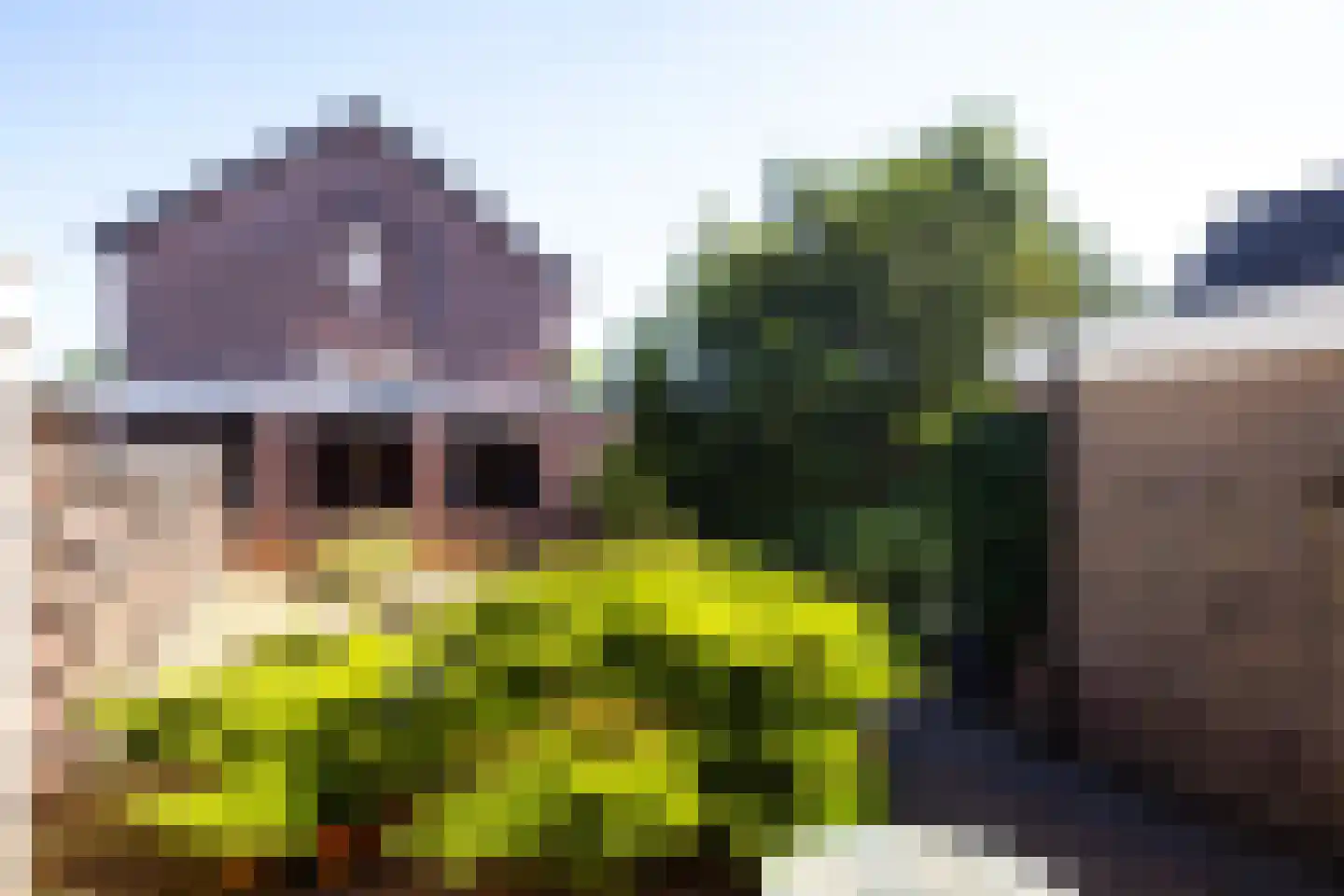 Elzenhof 73 Pannerden thumbnail 24