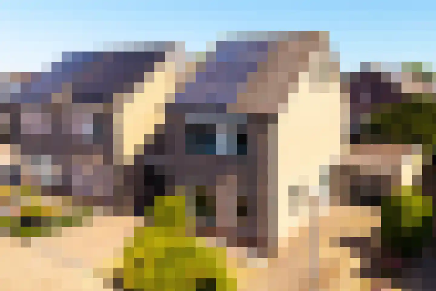 Elzenhof 73 Pannerden thumbnail 4