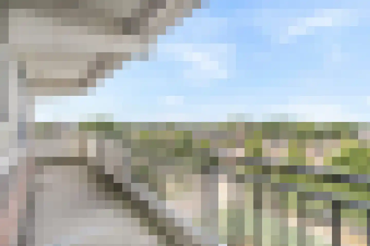 Elzenhorst 113 Waddinxveen thumbnail 29