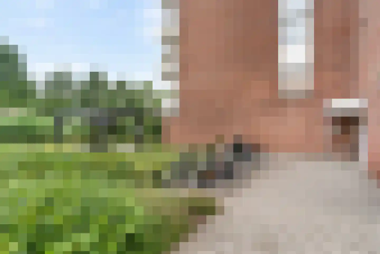 Elzenhorst 113 Waddinxveen thumbnail 31