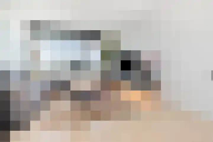 Elzenhorst 34 Waddinxveen thumbnail 14