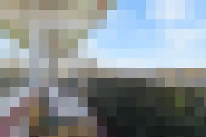 Elzenhorst 34 Waddinxveen thumbnail 38