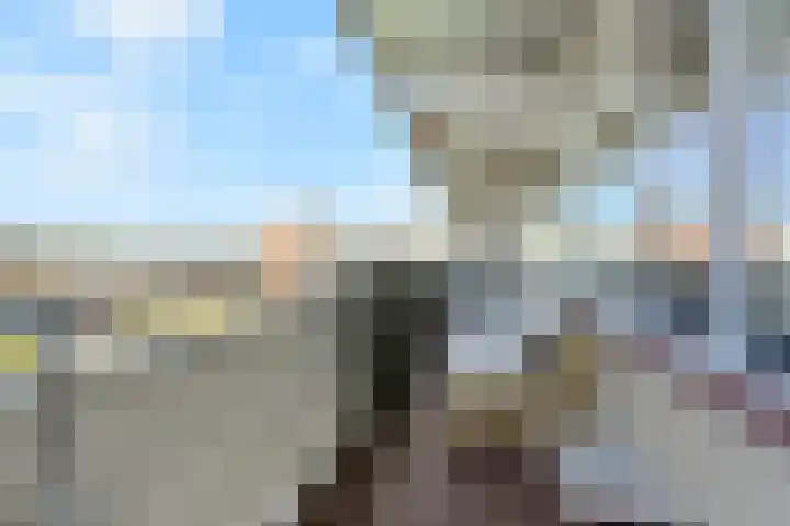 Elzenhorst 34 Waddinxveen thumbnail 39