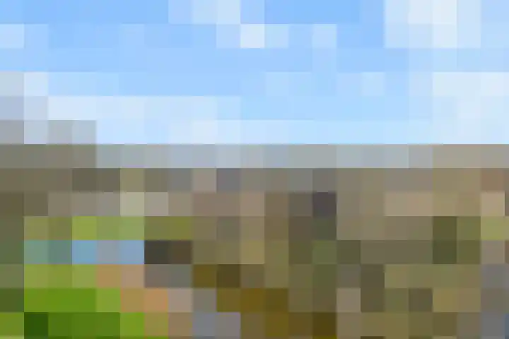 Elzenhorst 34 Waddinxveen thumbnail 41