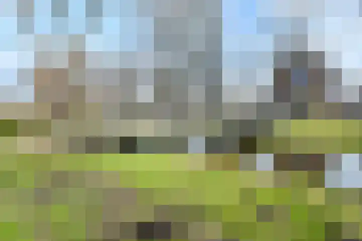 Elzenhorst 34 Waddinxveen thumbnail 44