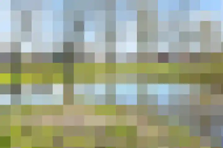 Elzenhorst 34 Waddinxveen thumbnail 45