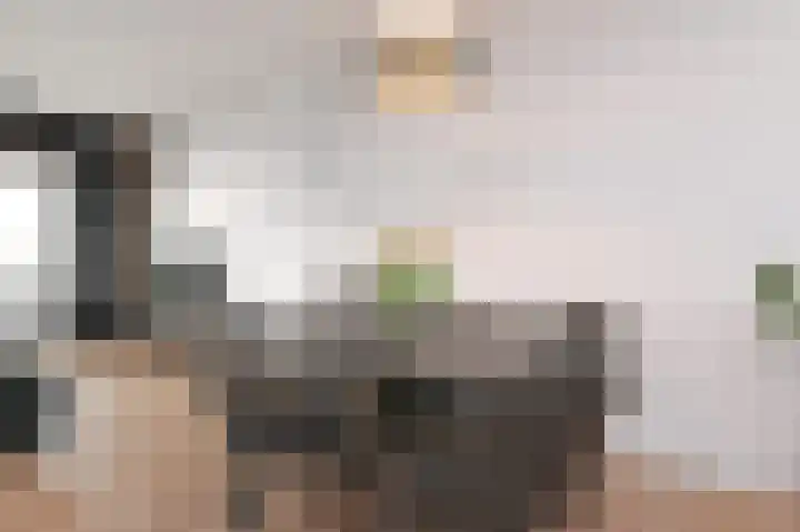 Elzenhorst 42 Waddinxveen thumbnail 11