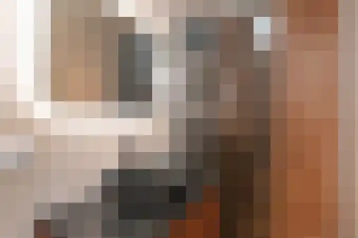 Elzenhorst 42 Waddinxveen thumbnail 4