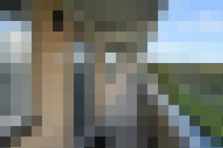 Elzenhorst 42 Waddinxveen thumbnail 8