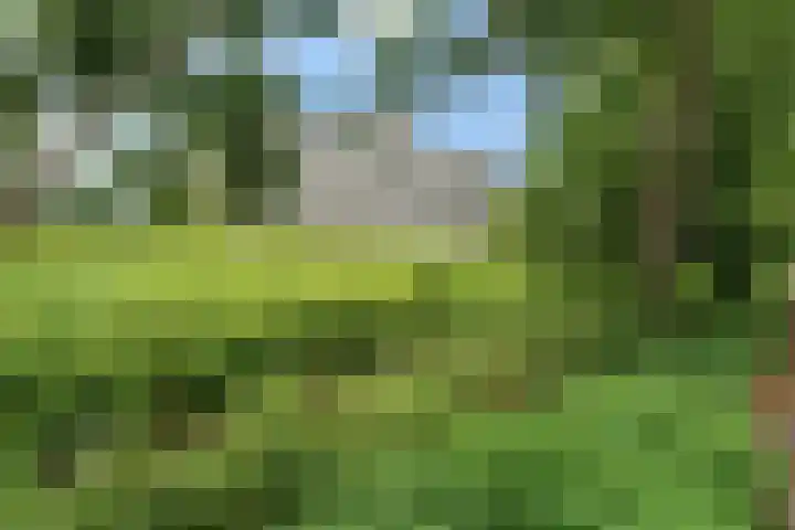 Elzenhorst 47 in Waddinxveen