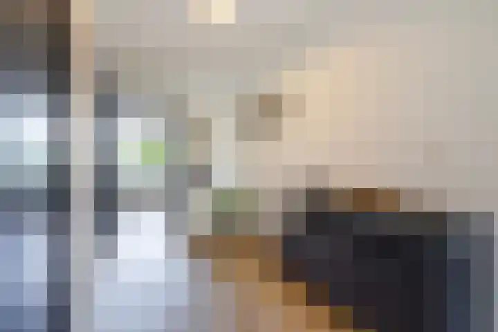 Elzenhorst 71 Waddinxveen thumbnail 17