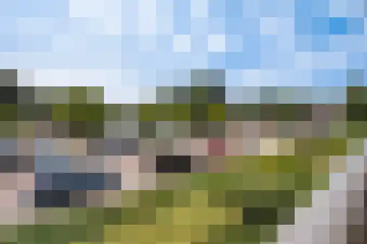 Elzenhorst 71 Waddinxveen thumbnail 33