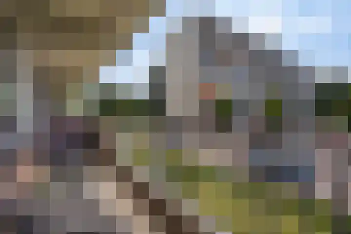 Elzenhorst 71 Waddinxveen thumbnail 34