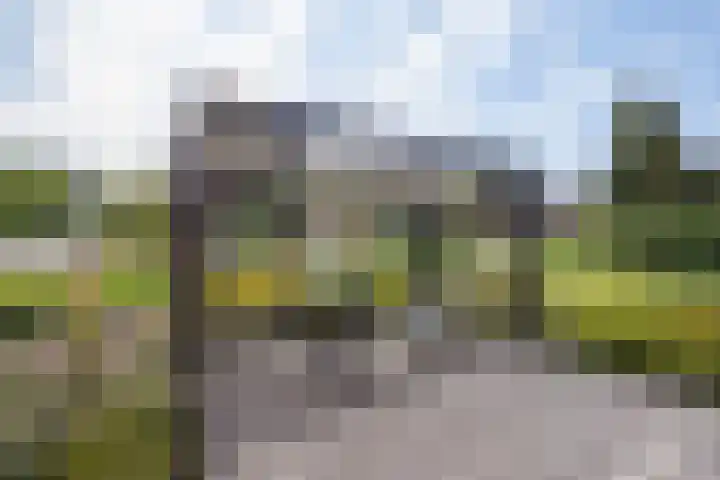 Elzenhorst 71 Waddinxveen thumbnail 37