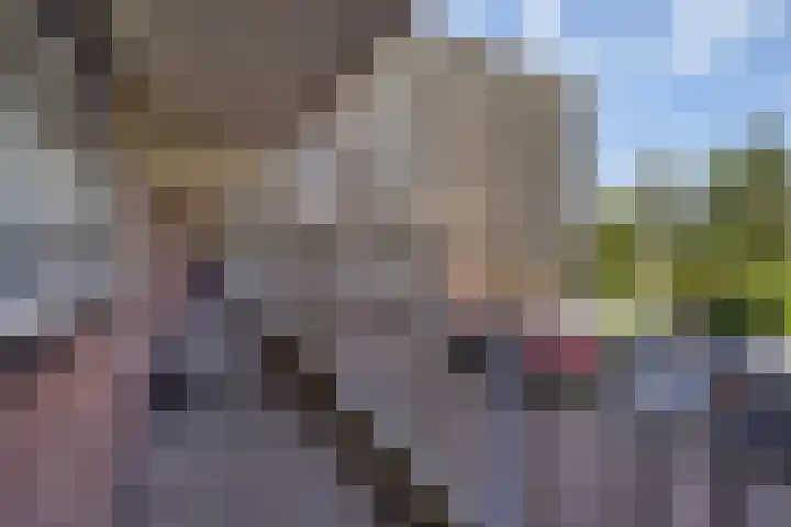Elzenhorst 71 Waddinxveen thumbnail 39