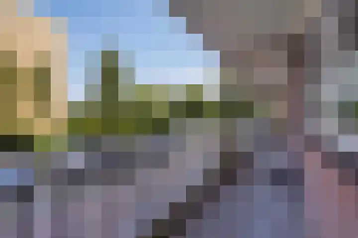 Elzenhorst 71 Waddinxveen thumbnail 41