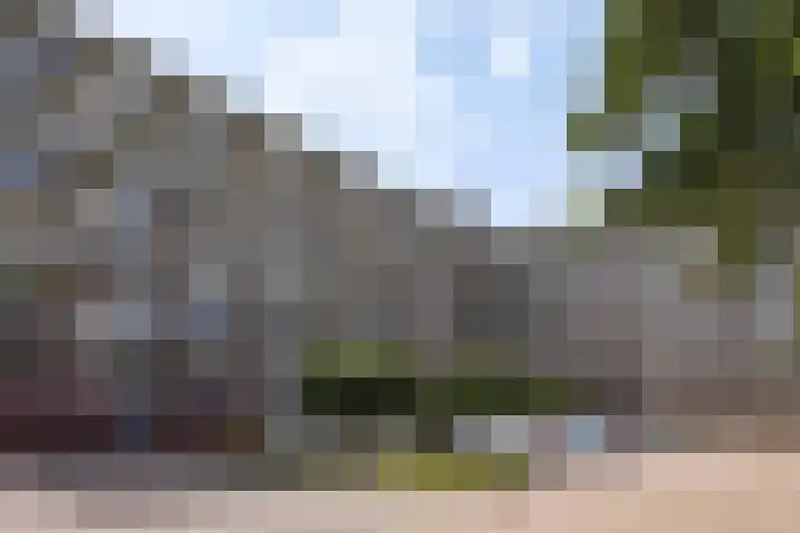 Elzenhorst 71 Waddinxveen thumbnail 44