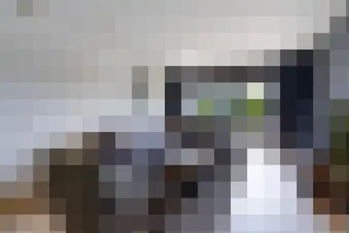 Elzenhorst 71 Waddinxveen thumbnail 6