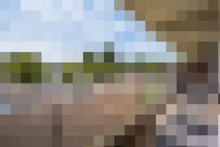 Elzenhorst 71 Waddinxveen thumbnail 9