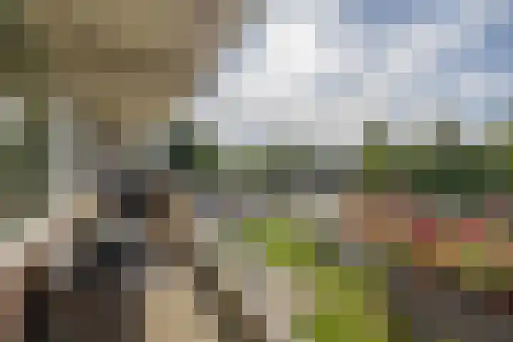 Elzenhorst 81 Waddinxveen thumbnail 16