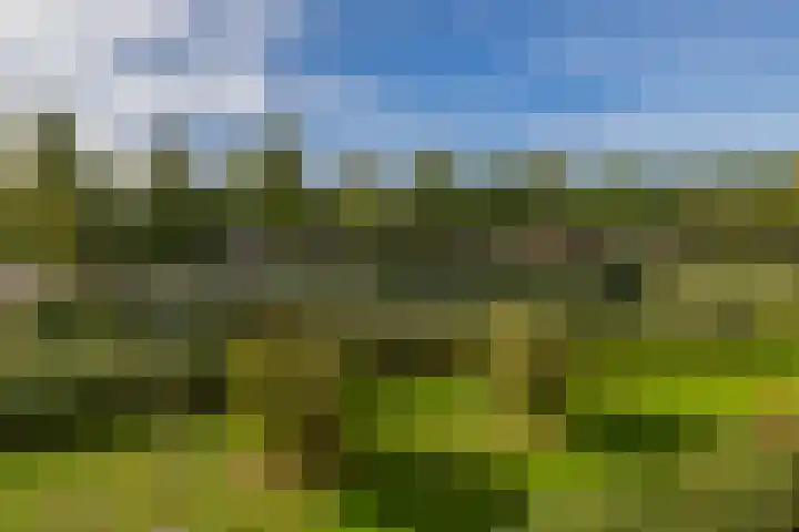 Elzenhorst 81 Waddinxveen thumbnail 27