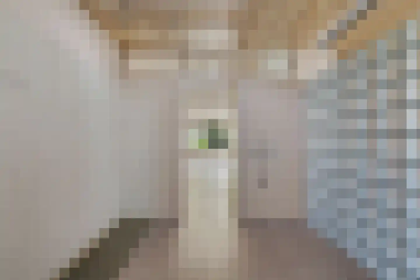 Elzenhove 17 Kwintsheul thumbnail 11