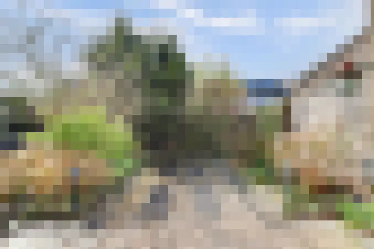 Elzenhove 17 Kwintsheul thumbnail 24