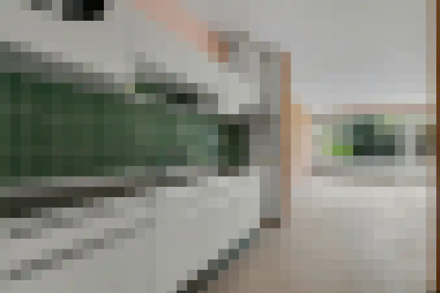 Elzenhove 17 Kwintsheul thumbnail 8