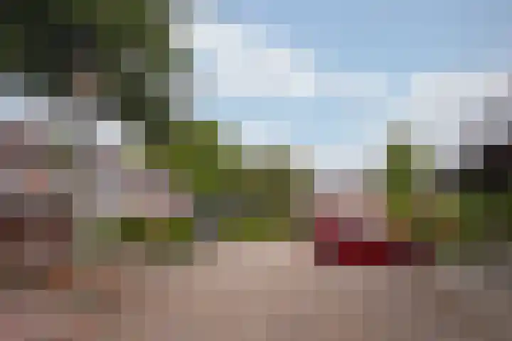 Elzenhoven 6 Maastricht thumbnail 15