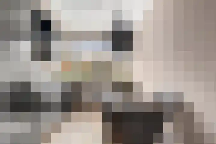 Elzenlaan 1 Hoevelaken thumbnail 14