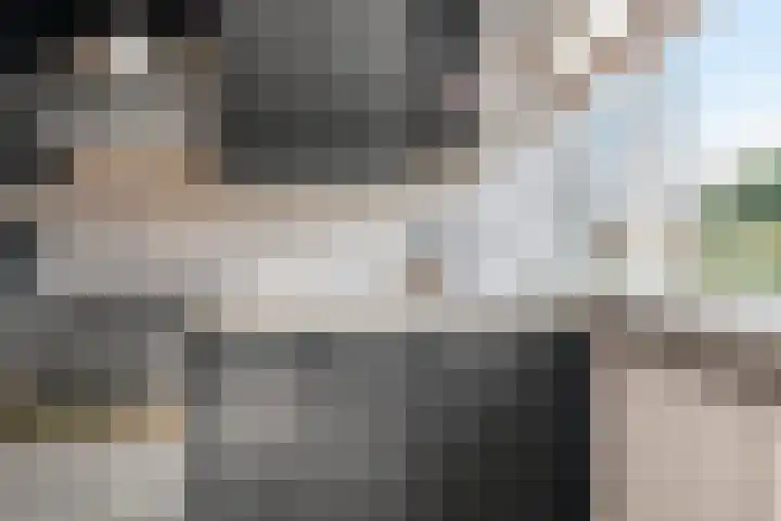 Elzenlaan 1 Hoevelaken thumbnail 16
