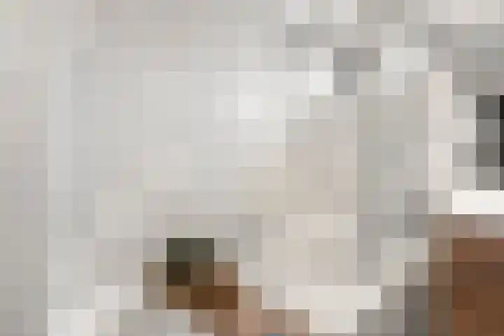 Elzenlaan 1 Hoevelaken thumbnail 26