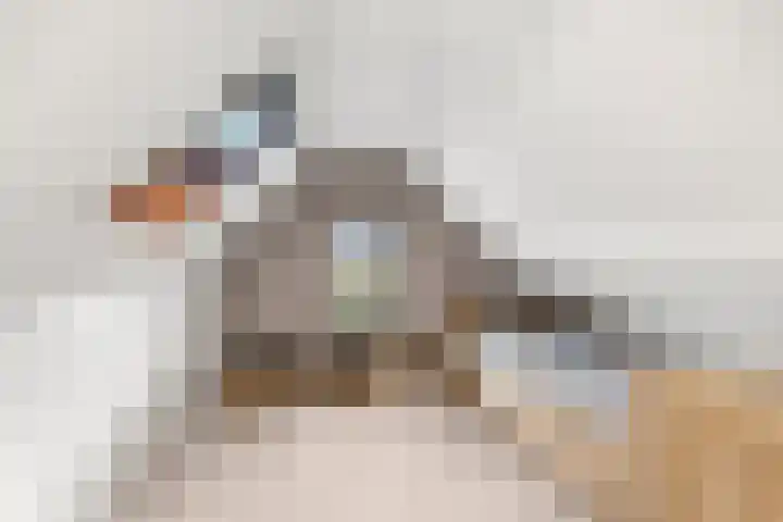 Elzenlaan 1 Hoevelaken thumbnail 30