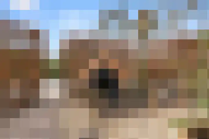 Elzenlaan 1 Hoevelaken thumbnail 42