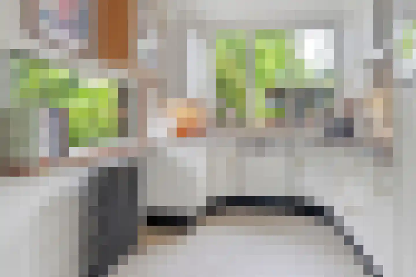 Elzenlaan 11 Bilthoven thumbnail 12