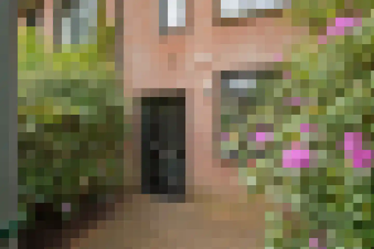 Elzenlaan 11 Bilthoven foto 2