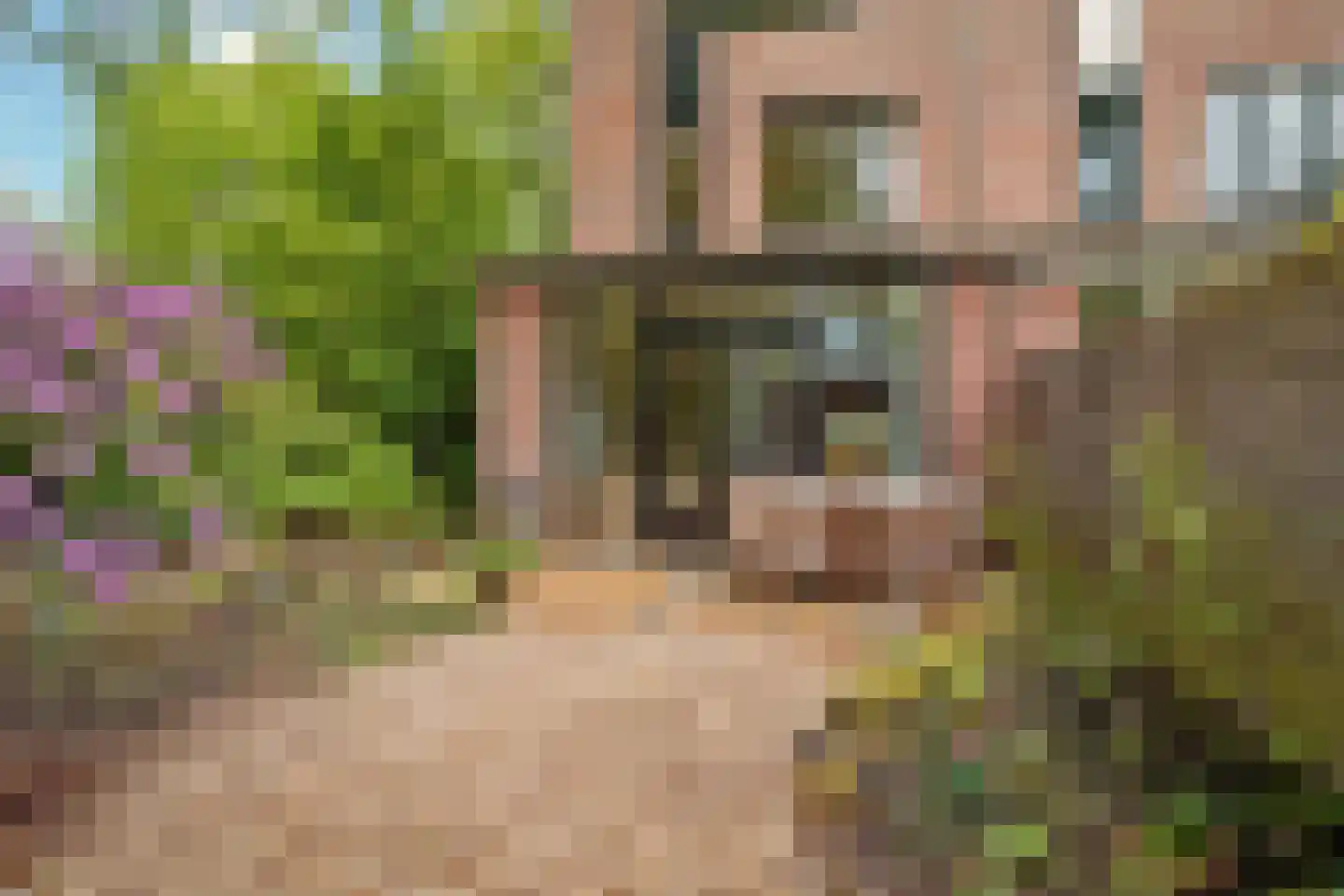 Elzenlaan 11 Bilthoven thumbnail 34