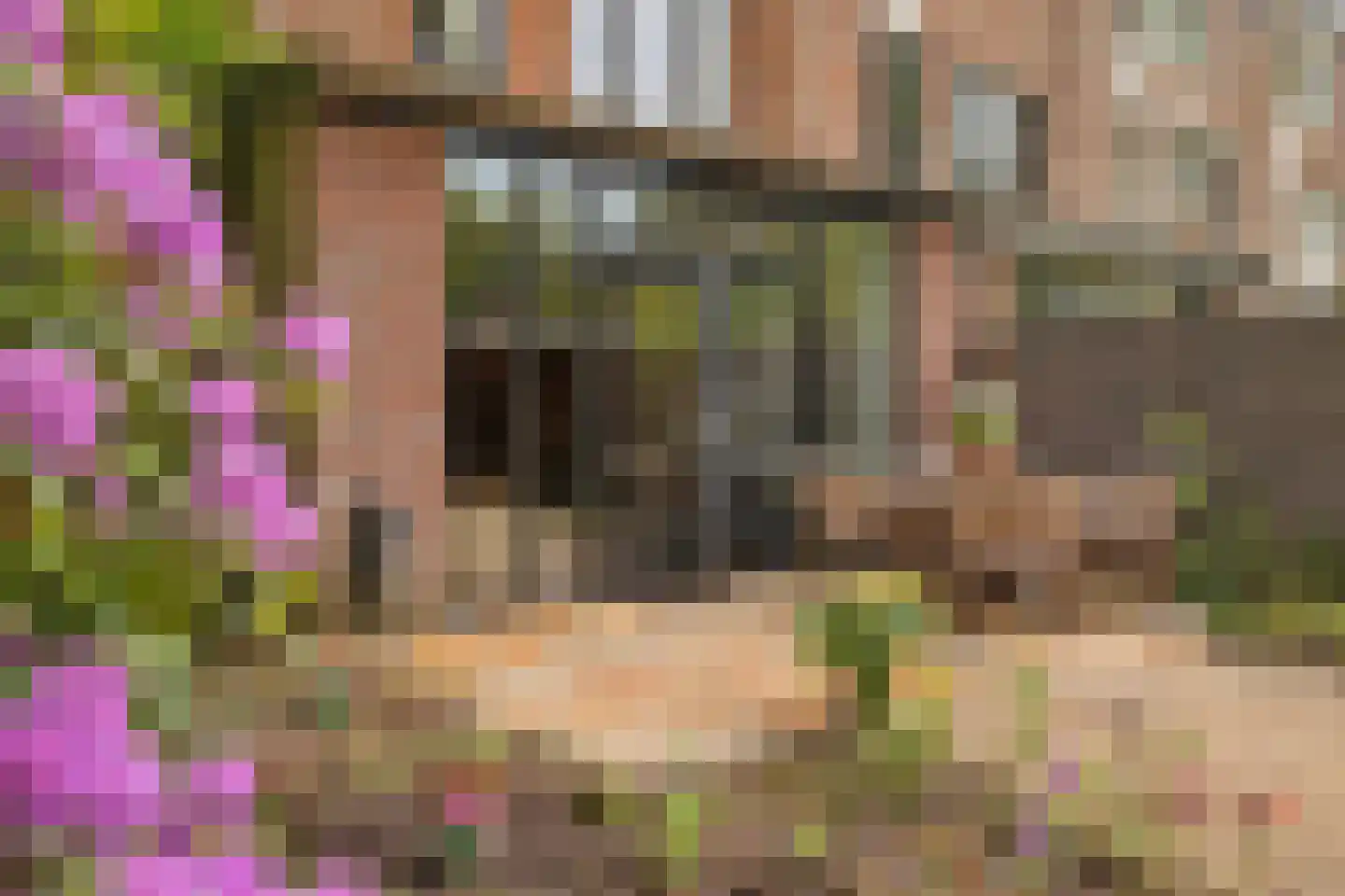 Elzenlaan 11 Bilthoven thumbnail 36