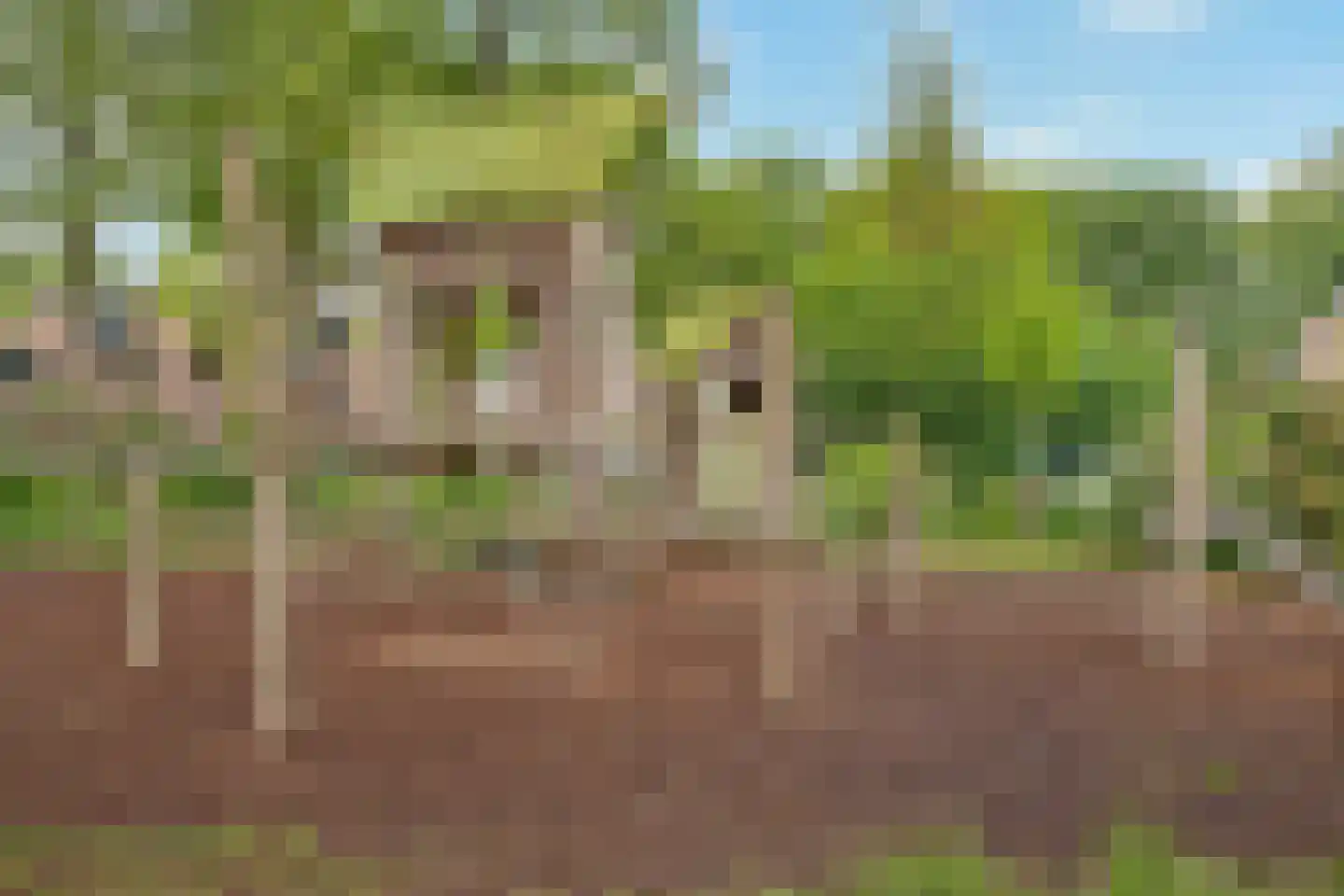 Elzenlaan 11 Bilthoven thumbnail 45