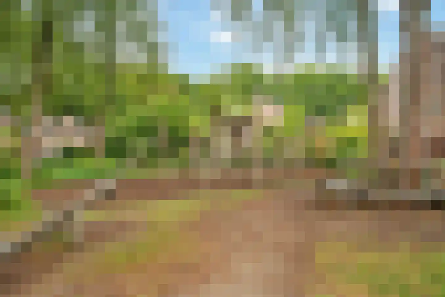 Elzenlaan 11 Bilthoven thumbnail 46