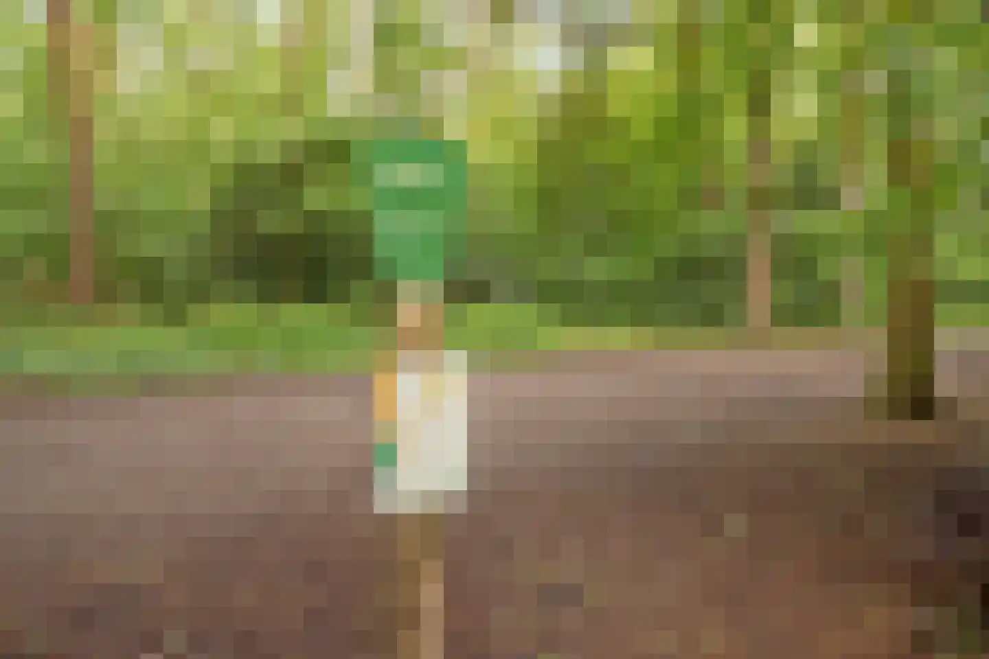 Elzenlaan 11 Bilthoven thumbnail 47