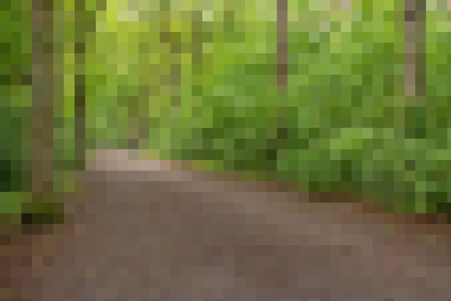 Elzenlaan 11 Bilthoven thumbnail 48